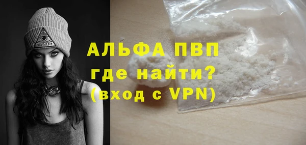 гашик Арсеньев