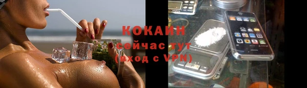 гашик Арсеньев