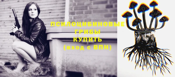 гашик Арсеньев