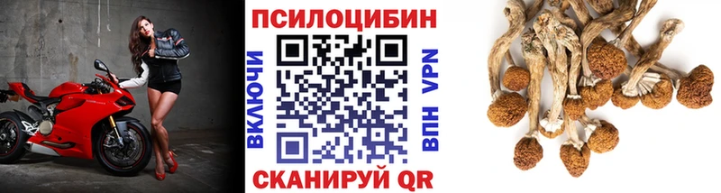 Псилоцибиновые грибы ЛСД  Купить закладки  Торопец 